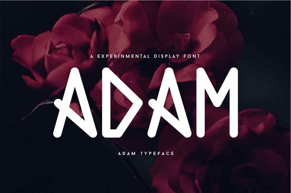 Adam-Fonts