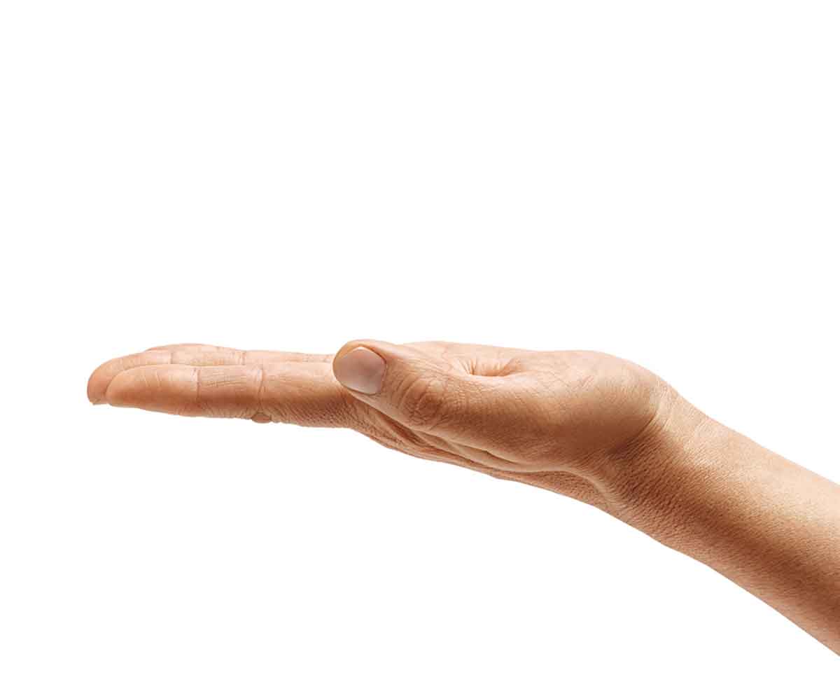 hand holding mockup